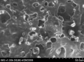 a b c d Hình 3 2 Ảnh SEM của màng SH a b SH có 10 glyxerin c d Kết quả 1