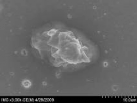 c d Hình 3 2 Ảnh SEM của màng SH a b SH có 10 glyxerin c d Kết quả thu 3