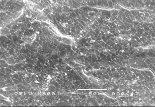 Hình 3 4 Ảnh SEM bề mặt mẫu vật liệu NBR sau khi thử nghiệm Hình 3 5 Ảnh SEM 1