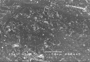 Hình 3 5 Ảnh SEM bề mặt mẫu vật liệu NBR CR 50 50 sau khi thử nghiệm Hình 3 6 2