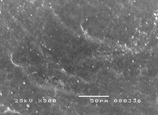 Hình 3 5 Ảnh SEM bề mặt mẫu vật liệu NBR CR 50 50 sau khi thử nghiệm Hình 3 6 3