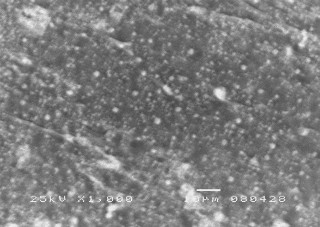 Cấu trúc hình thái của vật liệu cao su blend được nghiên cứu bằng kính hiển 4