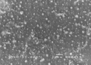 Hình 3 7 Ảnh SEM bề mặt cắt mẫu vật liệu NBR CR 80 20 Hình 3 8 Ảnh SEM bề 5