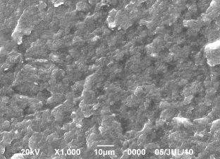 Để khảo sát ảnh hưởng của quá trình biến tính tới cấu trúc hình thái của 4