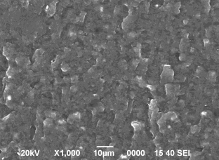 Hình 3 11 Ảnh SEM bề mặt gẫy các mẫu vật liệu blend NBR CR PVC tỷ lệ 80 20 5