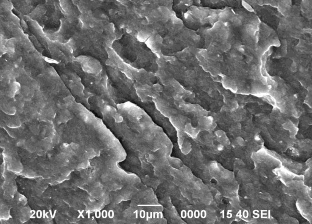 Hình 3 11 Ảnh SEM bề mặt gẫy các mẫu vật liệu blend NBR CR PVC tỷ lệ 80 20 6