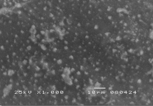 Hình 3 17 Ảnh SEM bề mặt mẫu vật liệu NBR CR DLH tỷ lệ 50 50 1 Quan sát hình 2