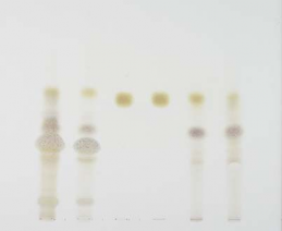 PĐ1 PĐ2 PĐ3 Chuẩn PĐ4 PĐ5 Hình 3 3 SKĐ các phân đoạn phân lập Keampferol Lặp 1