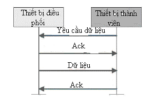 Hình 2 12 kết nối trong mạng không hỗ trợ phát beacon Nói chung trong mạng mắt 7