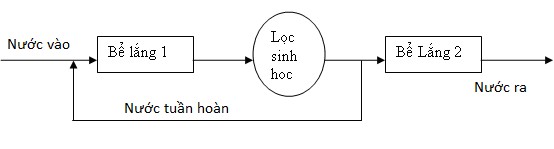 3 3 Mô hình thí nghiệm Mô hình bằng tấm kính có kích thước tương ứng D R C 11