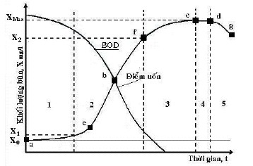 Hình 2 1 Đường cong sinh trưởng của sinh vật Vùng 1 Giai đoạn thích nghi pha 1