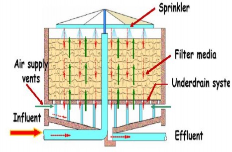 Hình 3 3 Lọc sinh học nhỏ giọt 3 2 Lọc sinh học bởi lớp vật liệu lọc ngập 7