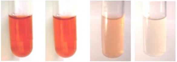 Trước xử lý Sau 1 giờ xử lý Sau 3 giờ xử lý Sau 5 giờ xử lý Hình 3 46 Sự 2