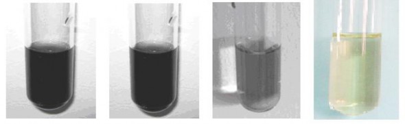 Trước xử lý Sau 1 giờ xử lý Sau 5 giờ xử lý Sau 10 giờ xử lý Hình 3 49 Sự 1