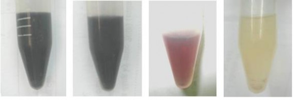 Trước xử lý Sau 1 giờ xử lý Sau 2 giờ xử lý Sau 6 giờ xử lý Hình 3 51 Sự 2