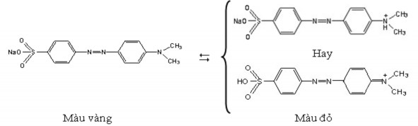 Metyl da cam thường được sử dụng để nhuộm trực tiếp các loại sợi động 3