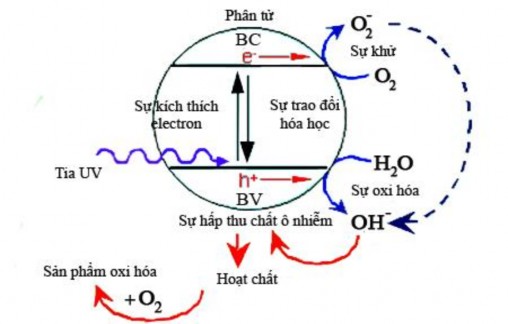 Hình 1 3 Sơ đồ lược hóa cơ chế phân hủy nhờ xúc tác quang Trong thực tế 2