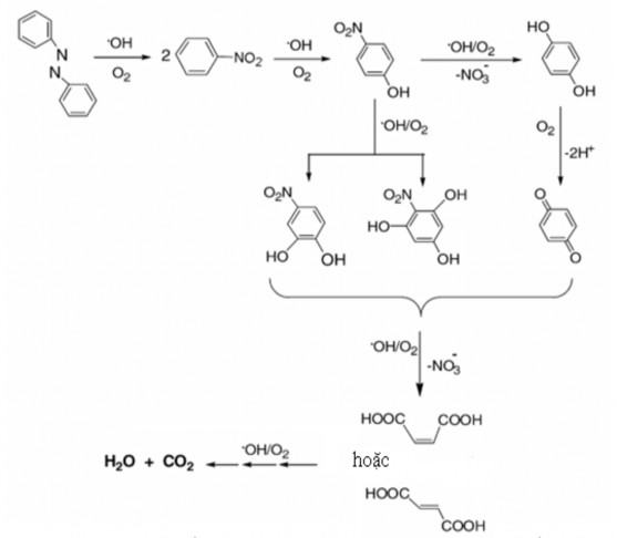 Hình 1 5 Dự đoán cơ chế của phản ứng khoáng hóa azobenzen bằng hiệu ứng 1