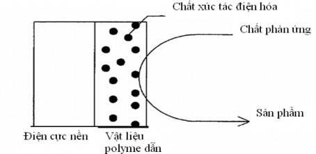 Hình 1 8 Sơ đồ phân tán chất xúc tác điện hóa trong màng polyme dẫn Cấu trúc 1