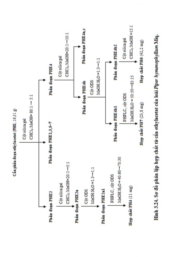 3 2 2 2 Kết quả nhận dạng hợp chất phân lập được từ loài Piper hymenophyllum 1
