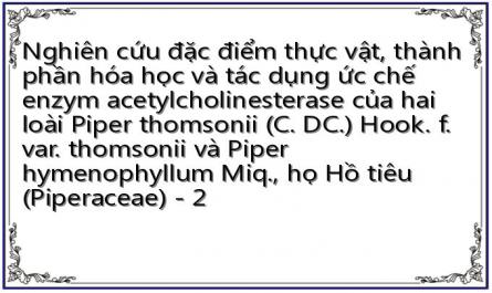 Nghiên cứu đặc điểm thực vật, thành phần hóa học và tác dụng ức chế enzym acetylcholinesterase của hai loài Piper thomsonii (C. DC.) Hook. f. var. thomsonii và Piper hymenophyllum Miq., họ Hồ tiêu (Piperaceae) - 2
