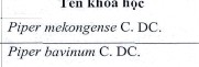 Set quâ gióm dinh tên khoa hoc Các mâu tiêu bân cúa Nghiên céu sinh Hoàng Viet Díing 5