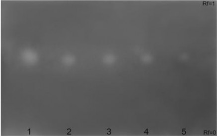 Muối Fast Blue B cũng được sử dụng như một thuốc thử trong phương pháp BTLC 1