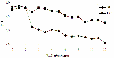 Hình 3 52 Giá trị pH của các khu vực xử lý và đối chứng 2 ngày trước khi 5