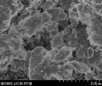 TÍCH MỘT SỐ ẢNH SEM Hình P10 1 Ảnh SEM của B90 Hình P10 1 Ảnh SEM của B90 La 12