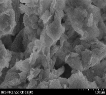 TÍCH MỘT SỐ ẢNH SEM Hình P10 1 Ảnh SEM của B90 Hình P10 1 Ảnh SEM của B90 La 14