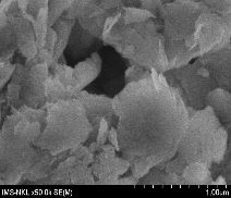 TÍCH MỘT SỐ ẢNH SEM Hình P10 1 Ảnh SEM của B90 Hình P10 1 Ảnh SEM của B90 La 16