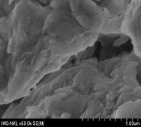 TÍCH MỘT SỐ ẢNH SEM Hình P10 1 Ảnh SEM của B90 Hình P10 1 Ảnh SEM của B90 La 17