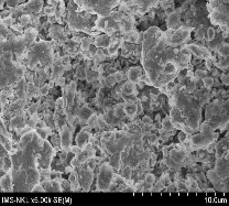 TÍCH MỘT SỐ ẢNH SEM Hình P10 1 Ảnh SEM của B90 Hình P10 1 Ảnh SEM của B90 La 18