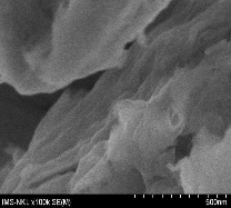 TÍCH MỘT SỐ ẢNH SEM Hình P10 1 Ảnh SEM của B90 Hình P10 1 Ảnh SEM của B90 La 19