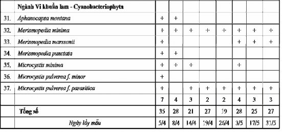 Phụ lục P22 2 Thành phần loài tảo hồ Hoà Mục khu vực đối chứng P46 PHỤ 2