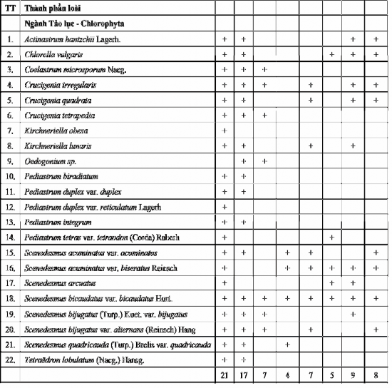 P46 PHỤ LỤC P23 MẬT ĐỘ LOÀI TẢO TRONG HỒ HOÀ MỤC 5 4 2011 8 4 2011 14 4 2011 3