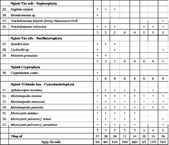 PHỤ LỤC P23 MẬT ĐỘ LOÀI TẢO TRONG HỒ HOÀ MỤC 5 4 2011 8 4 2011 14 4 2011 4