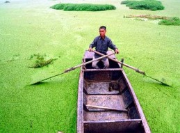 Hì nh 1 9 Một số thuỷ vực bị phú dưỡng Cơ sở sinh hóa của hiện tượng 2