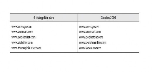 Nguồn Ban quản lý ECVN tháng 9 năm 2006 Cổng Thương mại điện tử quốc gia ECVN 3