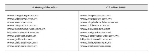 Nguồn Báo cáo của Bộ Thương Mại năm 2006 Năm 2006 phần lớn các sàn TMĐT B2C 4