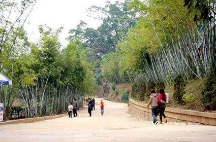 Đi bộ bên hàng tre trong khuôn viên hồ Những cánh cò chao nghiêng trên bầu trời 6