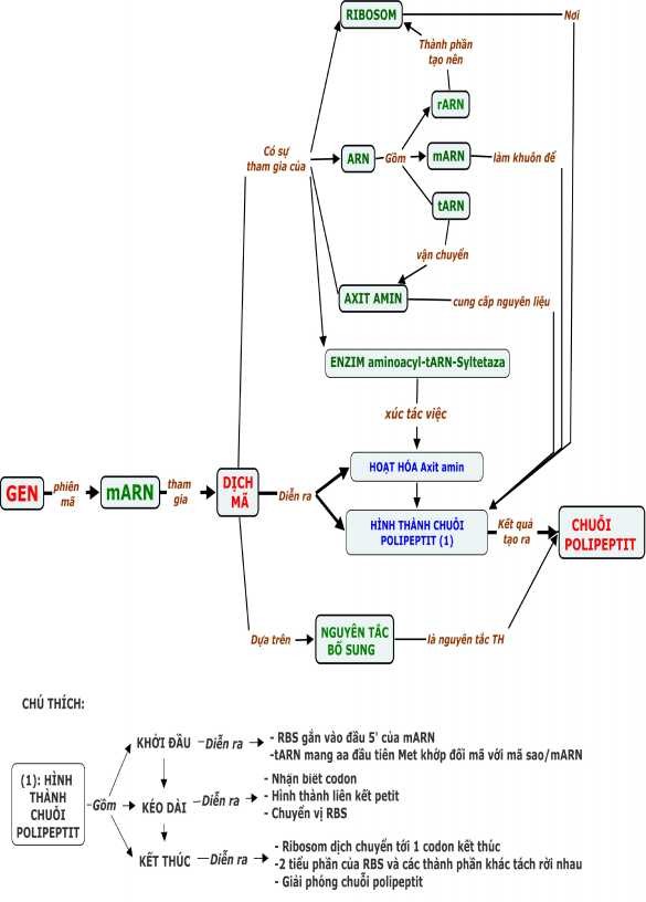 1 6 BĐKN NHIỄM SẮC THỂ 1 7 BĐKN TỔNG QUÁT VỀ CÁC LOẠI BIẾN DỊ 3