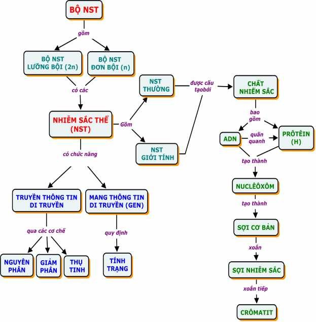 1 7 BĐKN TỔNG QUÁT VỀ CÁC LOẠI BIẾN DỊ BĐKN tổng quát về Các loại 4