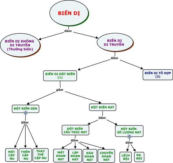 BĐKN tổng quát về Các loại biến dị có li ên kết với các B ĐKN con 5
