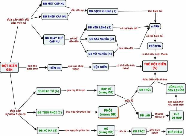 CHÚ THÍCH 1 ĐB m ất hoặc th êm Nu sẽ thay đổi khung đọc DT xắp xếp lại 6