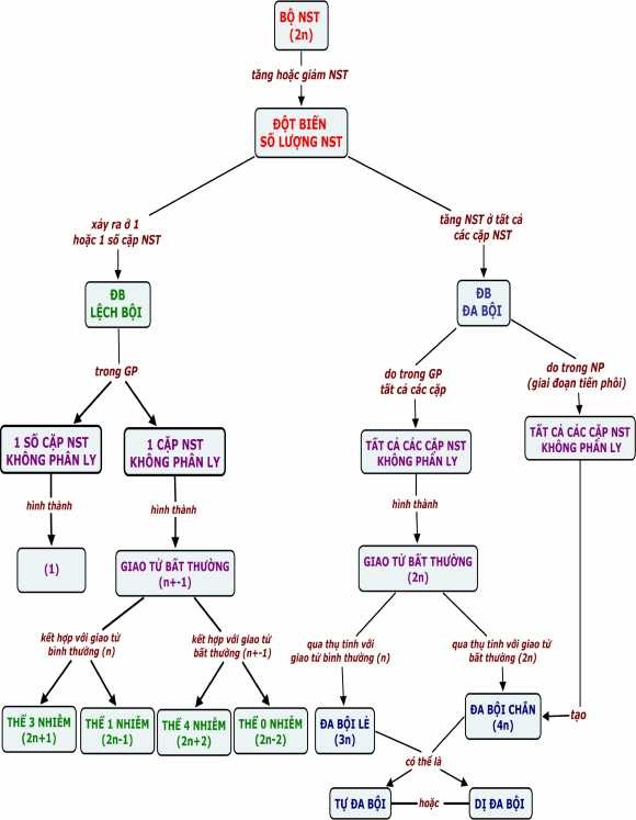 1 10 BĐKN VỀ CÁC QUY LUẬT DI TRUYỀN TRONG NHÂN GHI CHÚ 1 2 dành cho HSG 1 7
