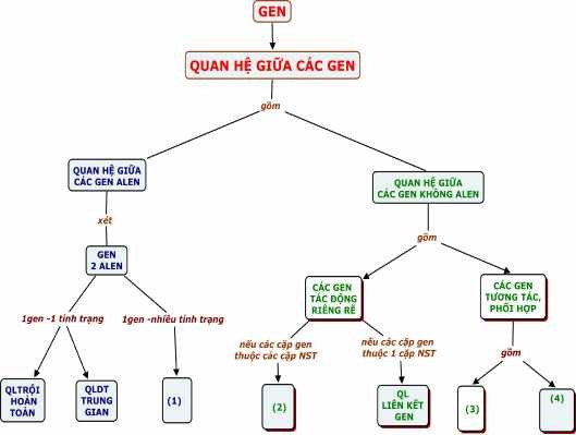 Trên cơ sở hoàn thiện BĐKN HS dễ dàng xác định được vị trí các quy lu ật 1