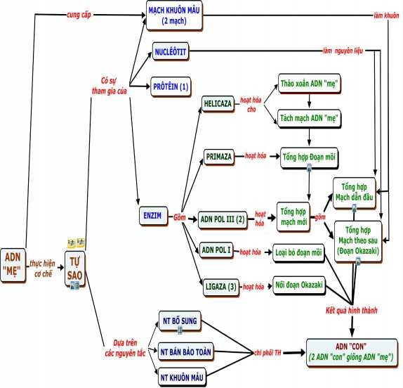 Nhãn th ường là t ừ nối hay các cụm từ nối định rõ mối quan hệ giữa hai 1