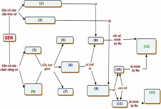 Hình 1 5 BĐKN khuyết KN về Gen khuyết 13 KN Hình 1 6 B ĐKN khuyết dạng 4