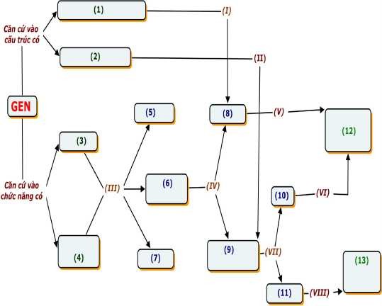 Hình 1 7 BĐKN câm về Gen Phân loại dựa theo hình dạng bản đồ Dựa vào 6